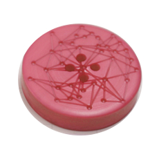 Acrylic Button 4 Hole Engraved 12mm Pink