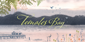 Sample Pack from Tomales Bay in Cotton