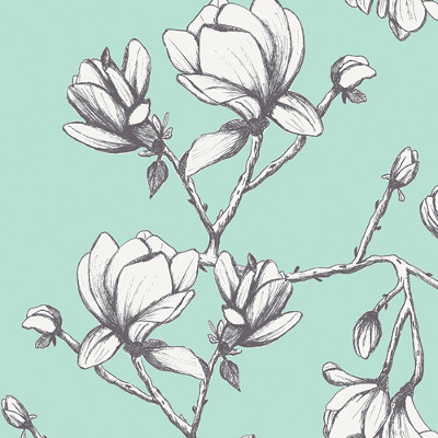 Magnolia Study Fresh In Canvas From Wild Bloom Designed By Bari J. For AGF