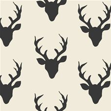 Hello Bear Buck Forest Canvas