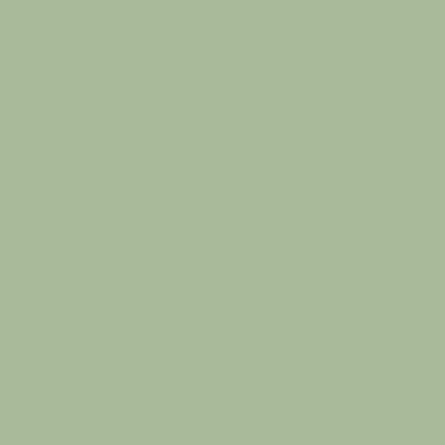 Fresh Sage from Flannel Solids by AGF Studio