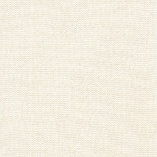 Ivory Ivory From Cirrus Solids By Cloud9 Fabrics