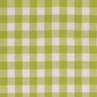 Lime / White Yarn Dyed Medium Gingham Check from Kobenz by Modelo Fabrics