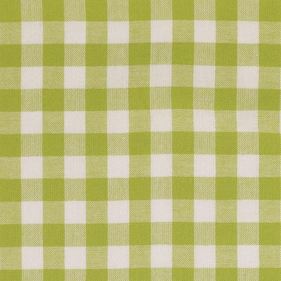 Lime / White Yarn Dyed Medium Gingham Check from Kobenz by Modelo Fabrics