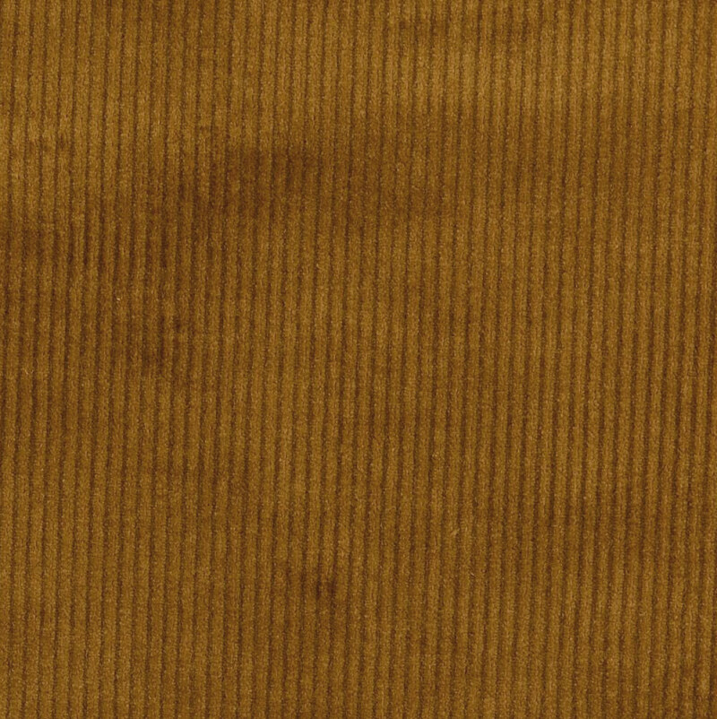 Brown Chunky Stretch Needlecord from Danbury II by Modelo Fabrics