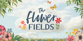 The Flower Fields  