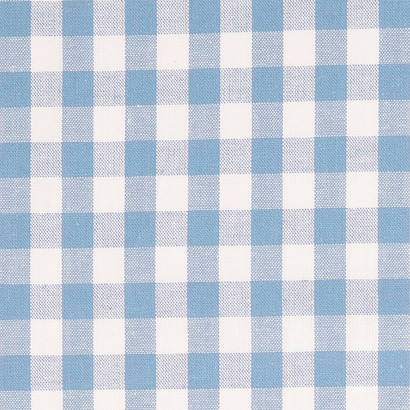 Light Blue / White Yarn Dyed Medium Gingham Check from Kobenz by Modelo Fabrics