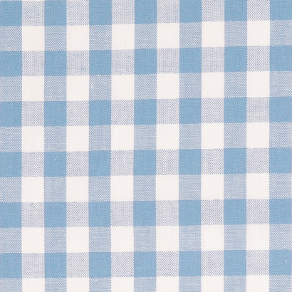 Kobenz Light Blue / White Yarn Dyed Medium Gingham Check Fabric