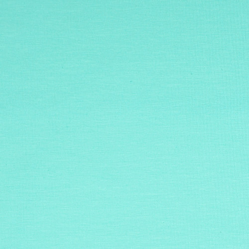 Aqua Cotton Jersey by Modelo Fabrics