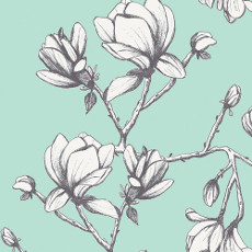 Magnolia Study Fresh In Canvas From Wild Bloom Designed By Bari J. For AGF