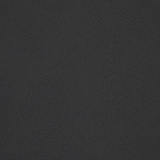 Black Imitation Leather from Santiago by Modelo Fabrics