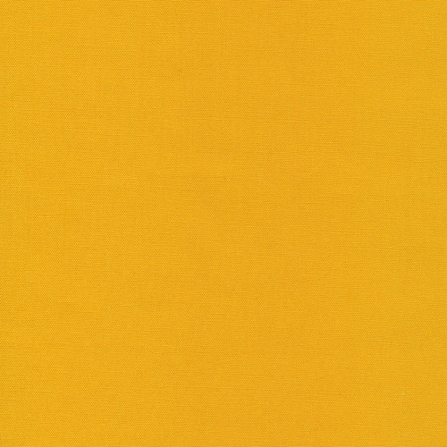 Amber Waves Cloud9 Solid Canvas