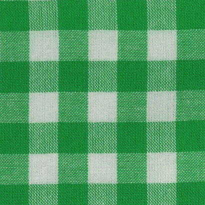 Emerald / White Yarn Dyed Large Gingham Check from Kobenz by Modelo Fabrics