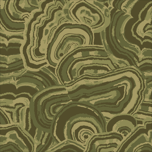 Turkey Tail Green from Into The Woods by Sarah Watson