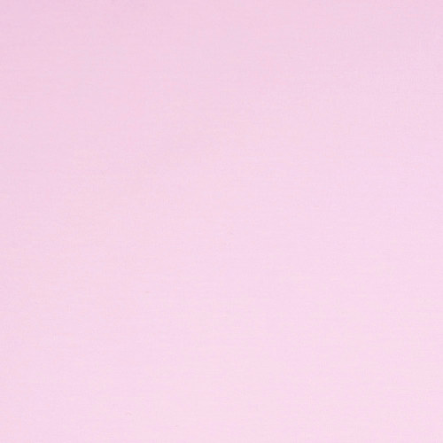 Lilac Cotton Jersey by Modelo Fabrics