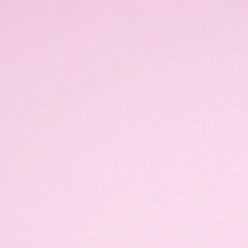 Lilac Cotton Jersey by Modelo Fabrics