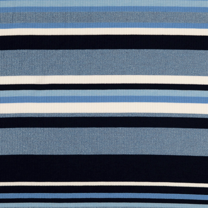 Blue / Black Striped Rib Knit from Isiro by Modelo Fabrics