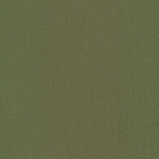 Olive From Cirrus Solids By Cloud9 Fabrics