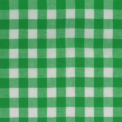 Emerald / White Yarn Dyed Medium Gingham Check from Kobenz by Modelo Fabrics