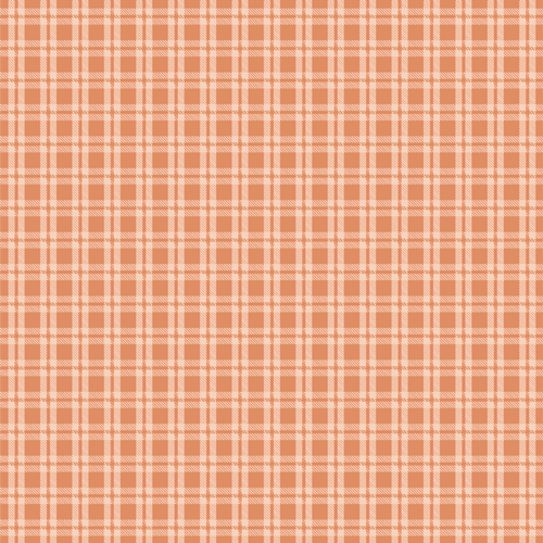 Cozy Gingham Birch from Fairview Avenue by Bari J. for AGF (Avail Dec)