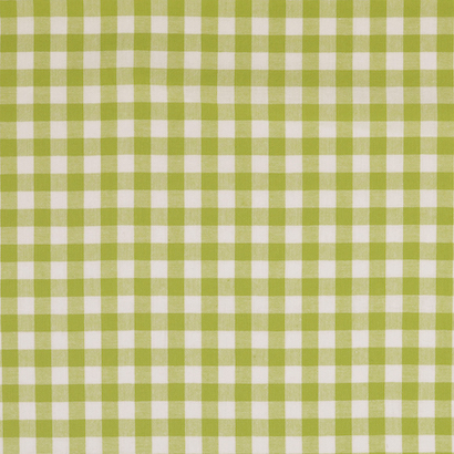 Lime / White Yarn Dyed Small Gingham Check from Kobenz by Modelo Fabrics