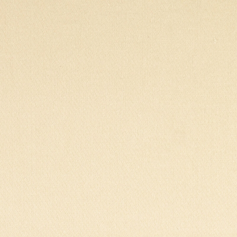 Cream Stretch Velvet from Lano by Modelo Fabrics