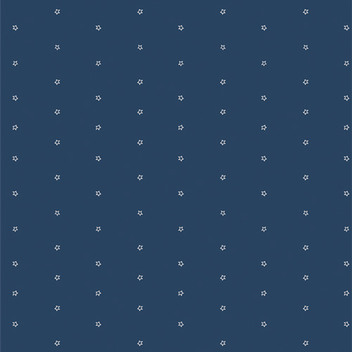 Starlight from Bloomin Americana by AGF Studio for AGF (Avail Jan)