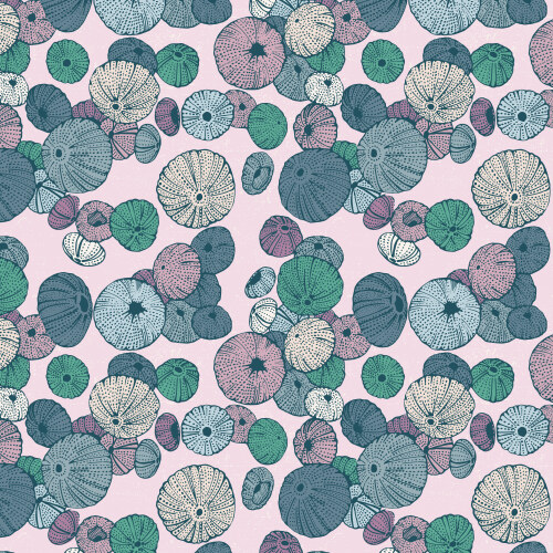 Sea Urchin in Light Pink/Multi from Seashell Serenade for Cloud9 Fabrics (Avail Jun)