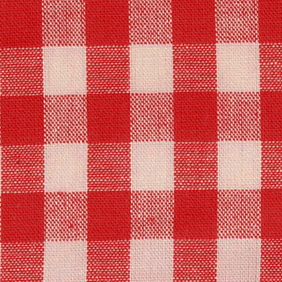 Red / White Yarn Dyed Large Gingham Check from Kobenz by Modelo Fabrics