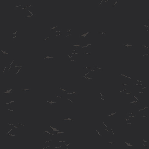 Silent Flight from Enshadow by Katarina Roccella for AGF