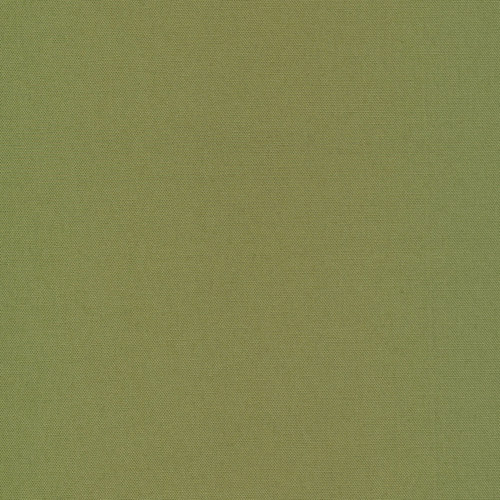 Fatigues Cloud9 Solid Canvas