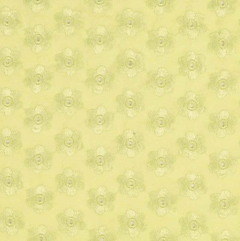 Pistachio Embroidered Viscose Lawn from Pella by Modelo Fabrics